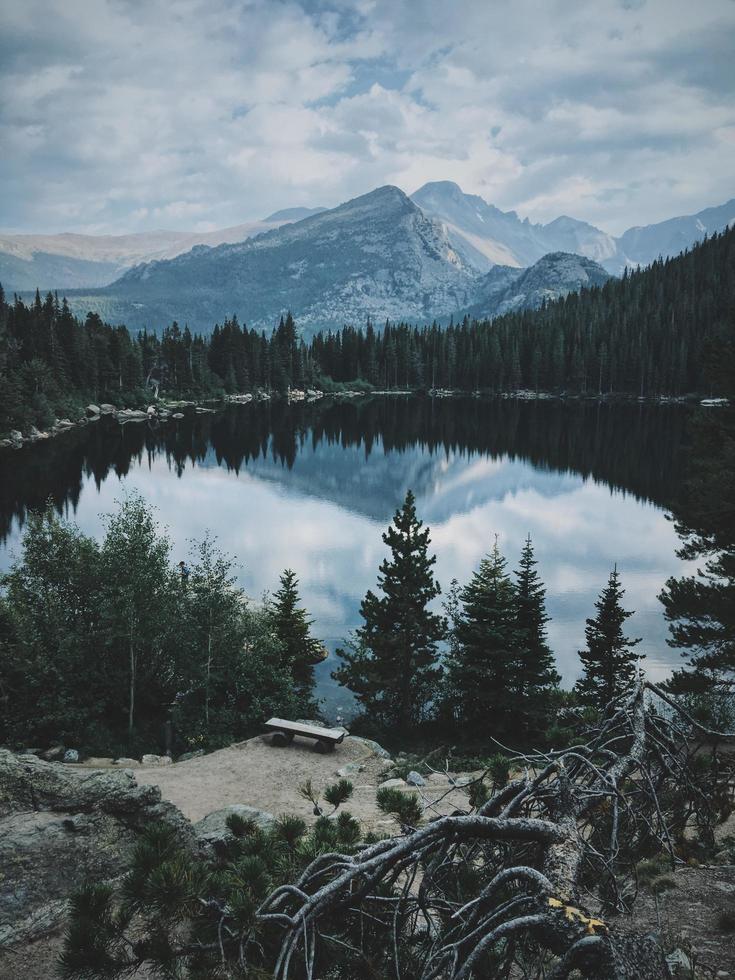 Body of water surrounding trees  photo