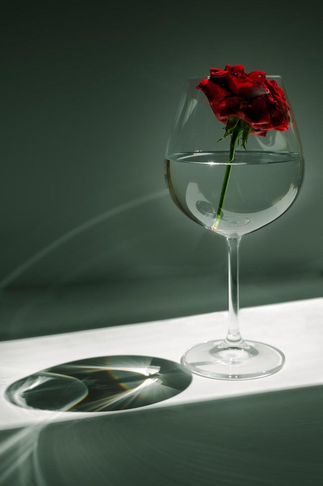 Red rose in glass photo