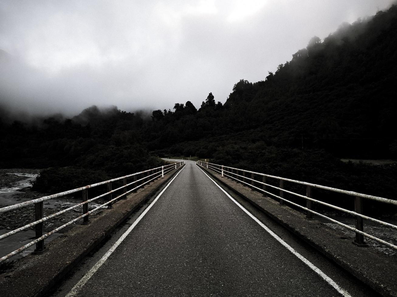 Road through mist and trees photo