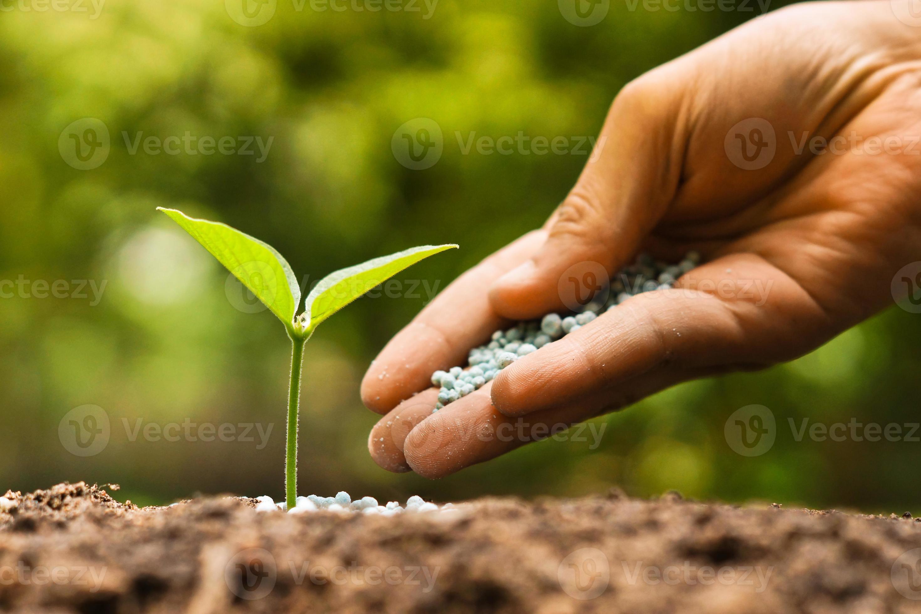 Environment value. Экологические удобрения. Удобрения для растений. Экологически чистые удобрения. Экологическая биотехнология.