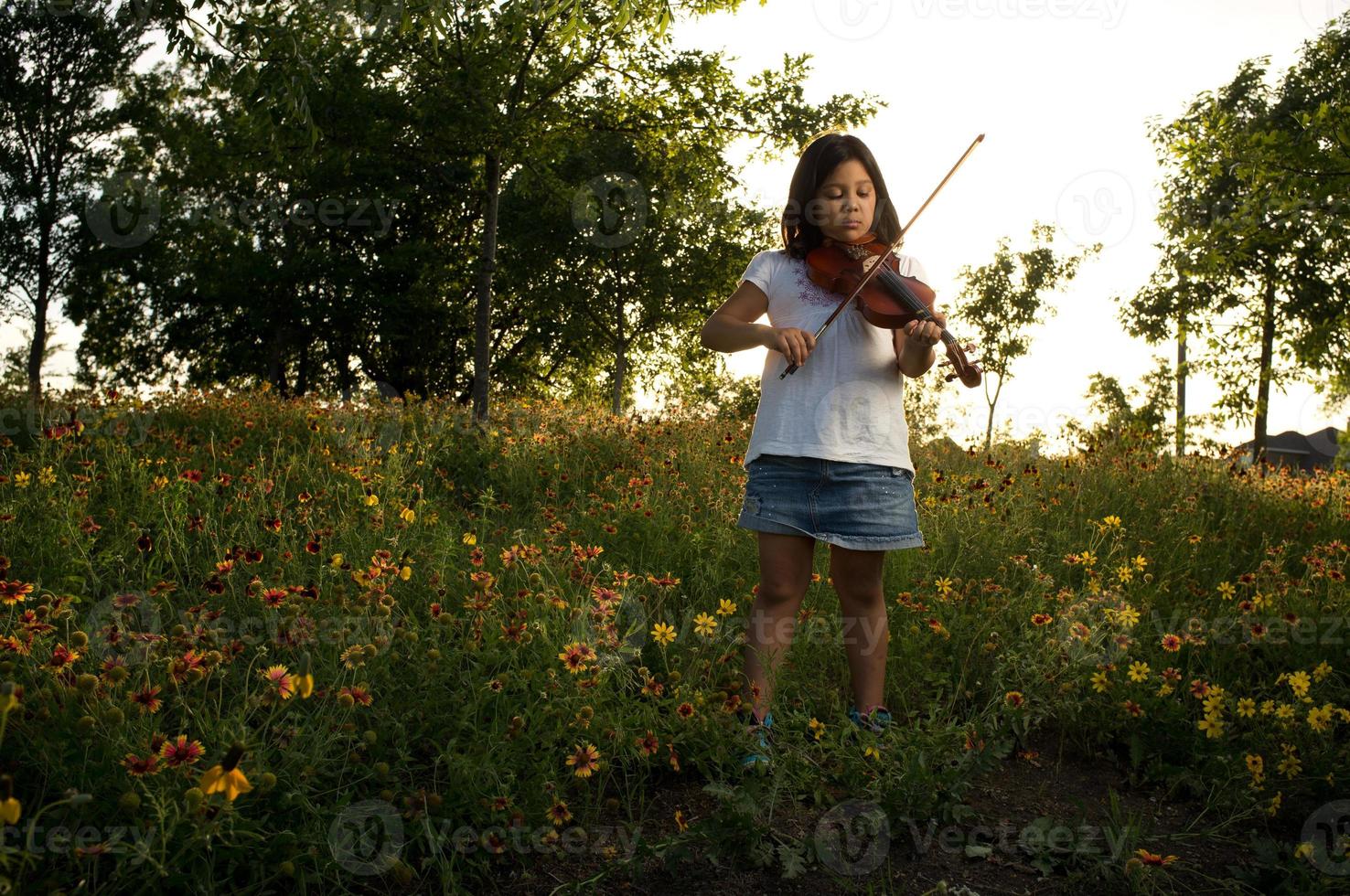 el violinista de primavera foto