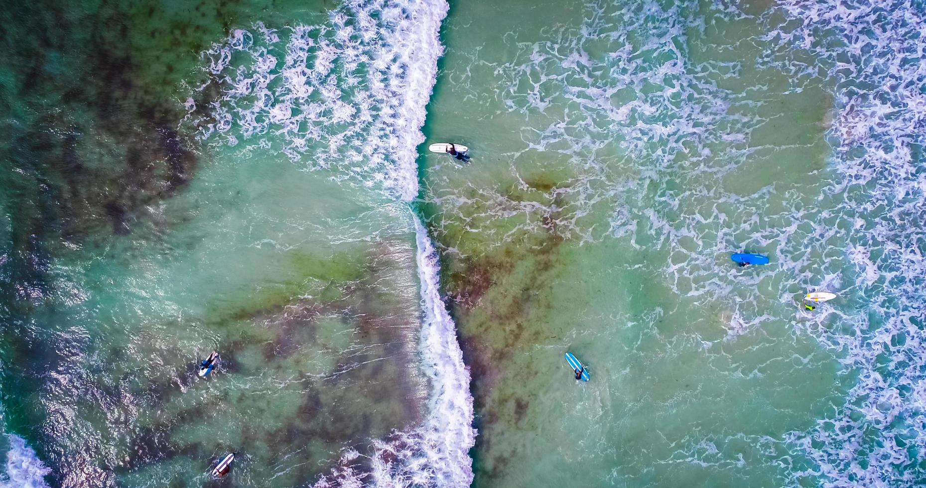 Aerial view of surfers on ocean photo