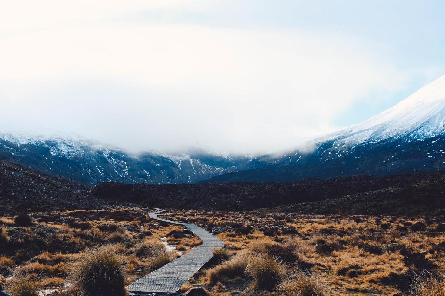 Hikers on walkway next to mountain photo