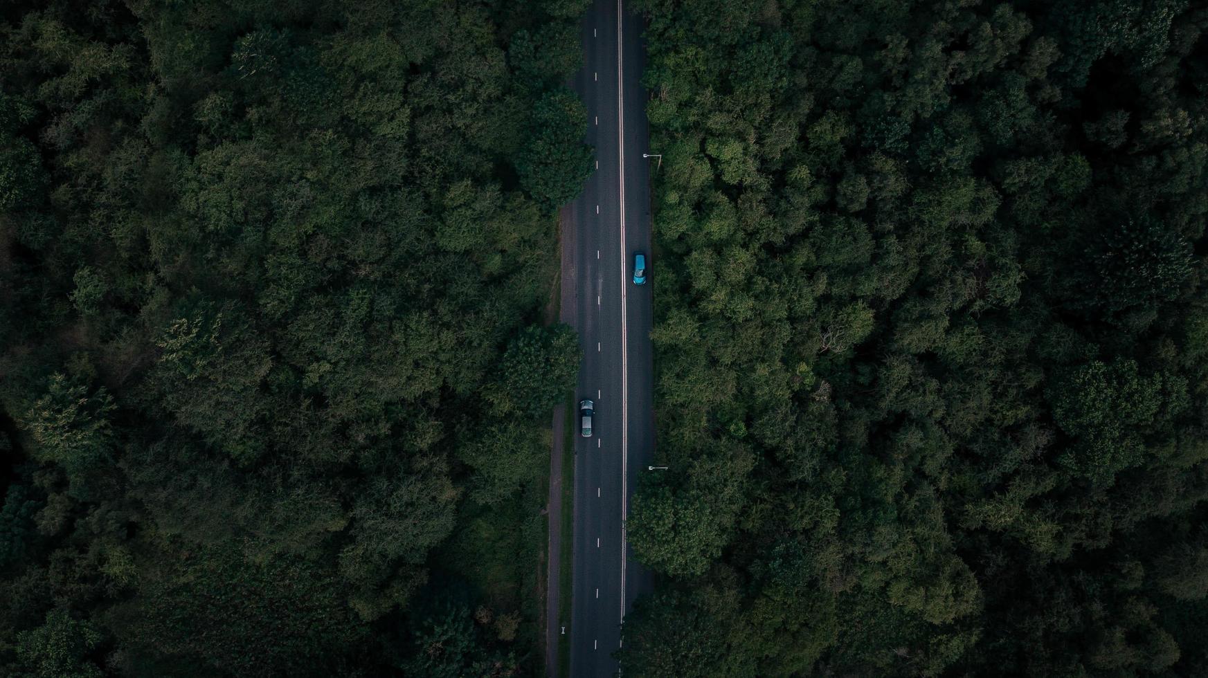 vista aérea de la carretera rodeada de árboles foto