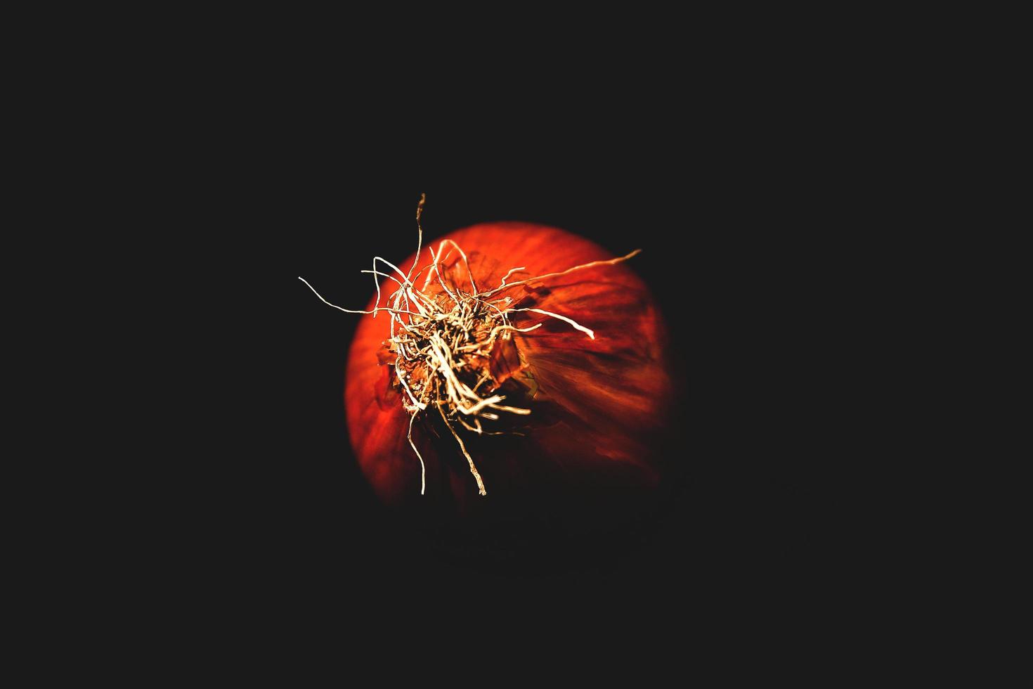 Still life of red onion on black background photo
