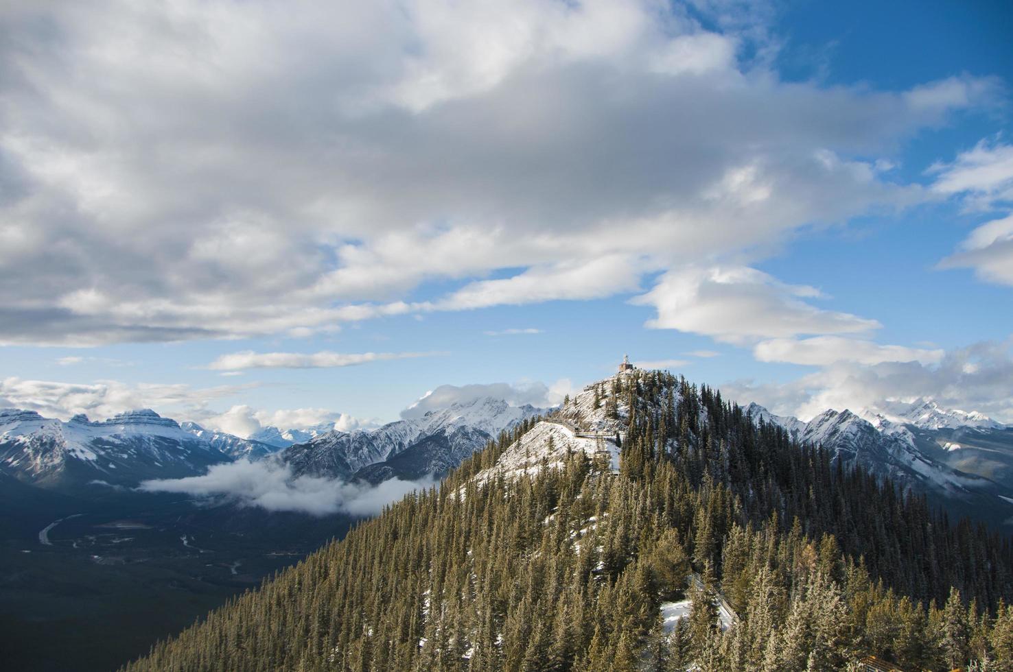 Green pine trees on a snow-capped mountain slope photo