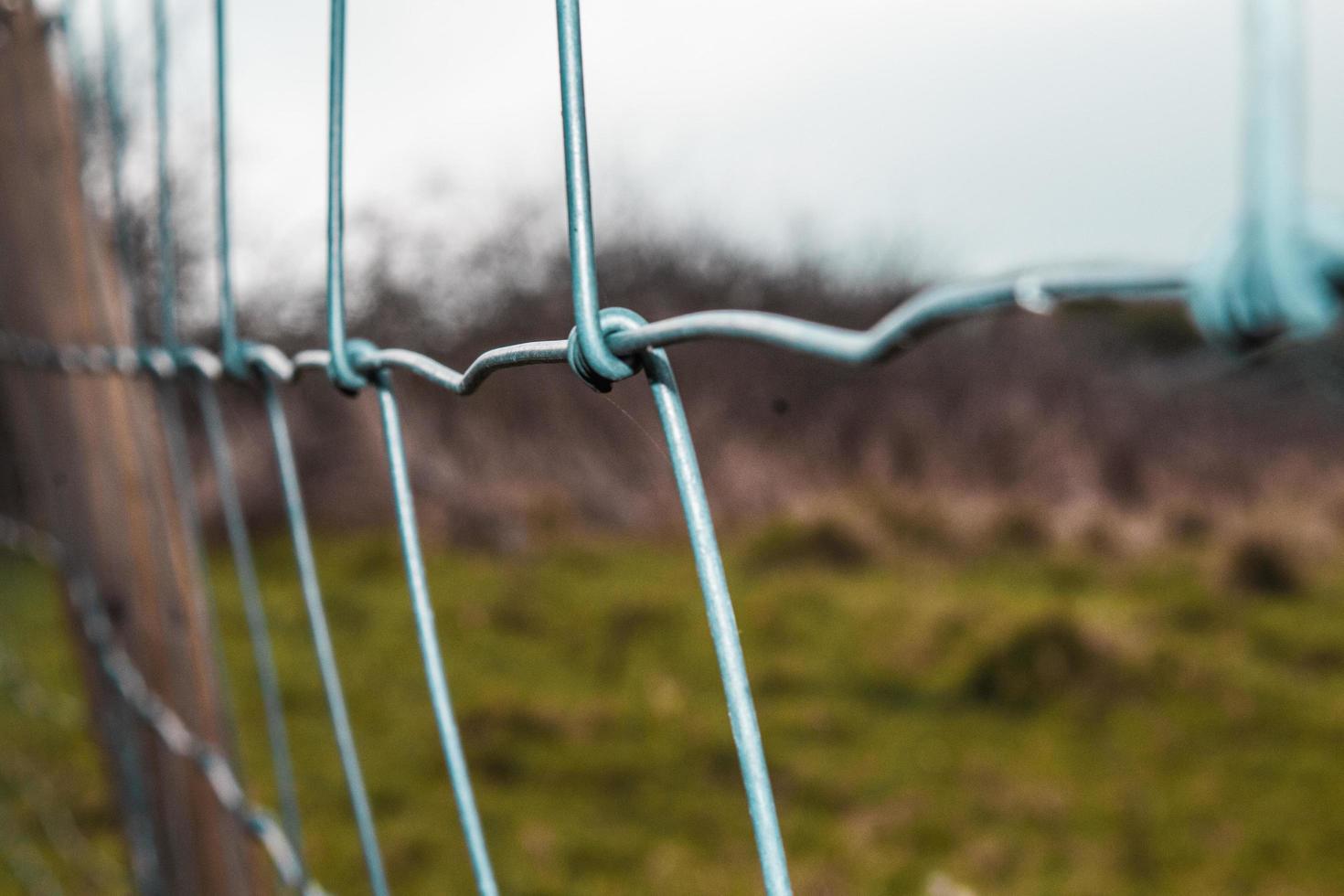 Close-up of chain link fence photo