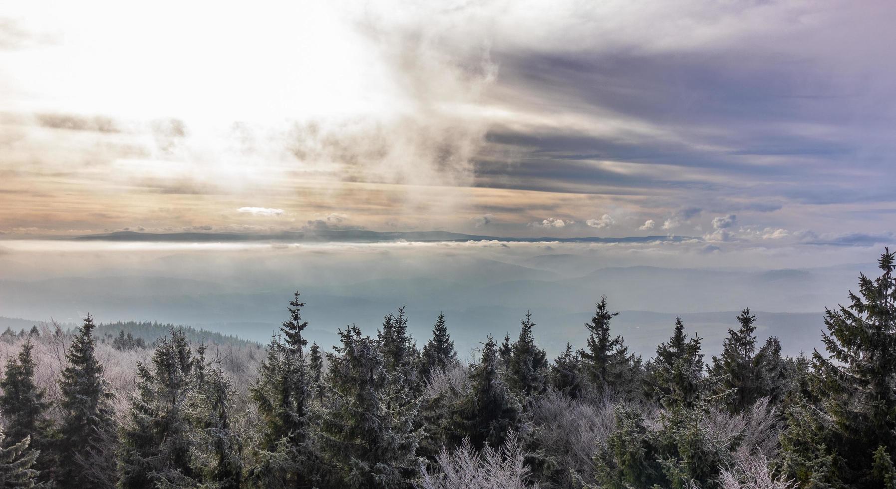 cielo de invierno en el bosque foto