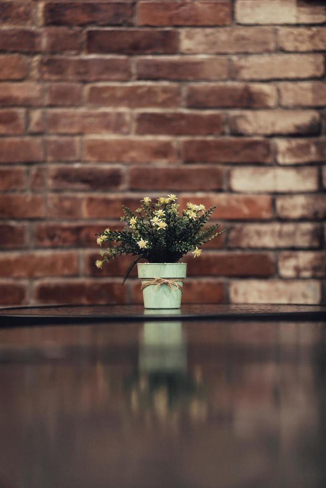 flor de aster blanco en un jarrón foto