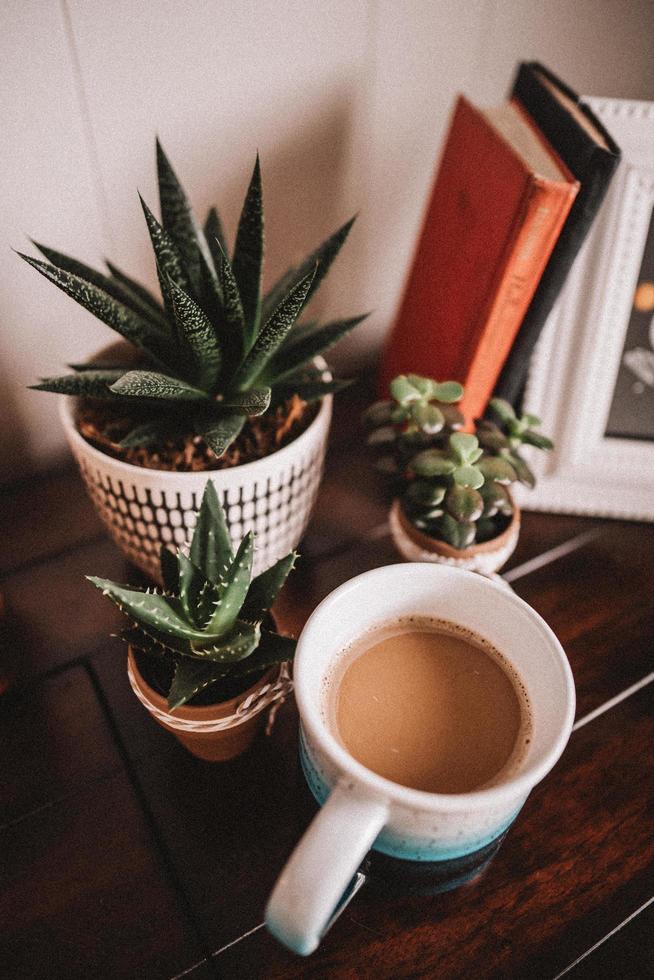 Cacti in ceramic pots with coffee mug photo