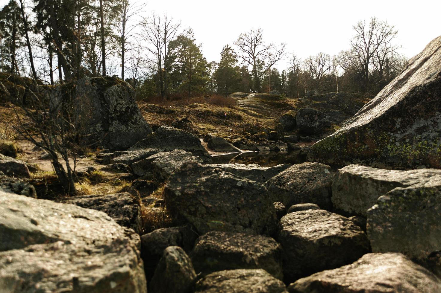 Rocky hills and trees photo