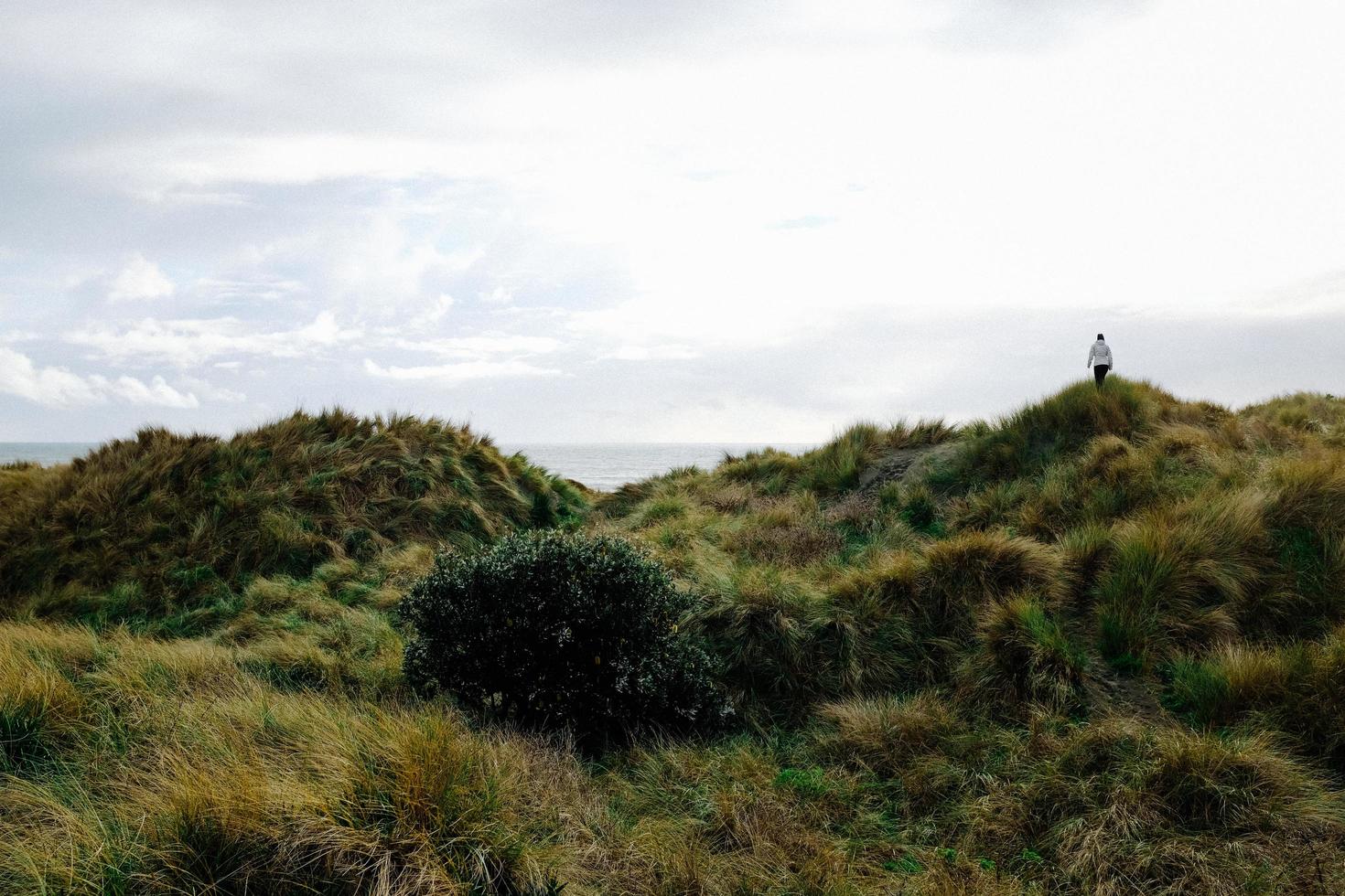 Person on grass hill near water photo