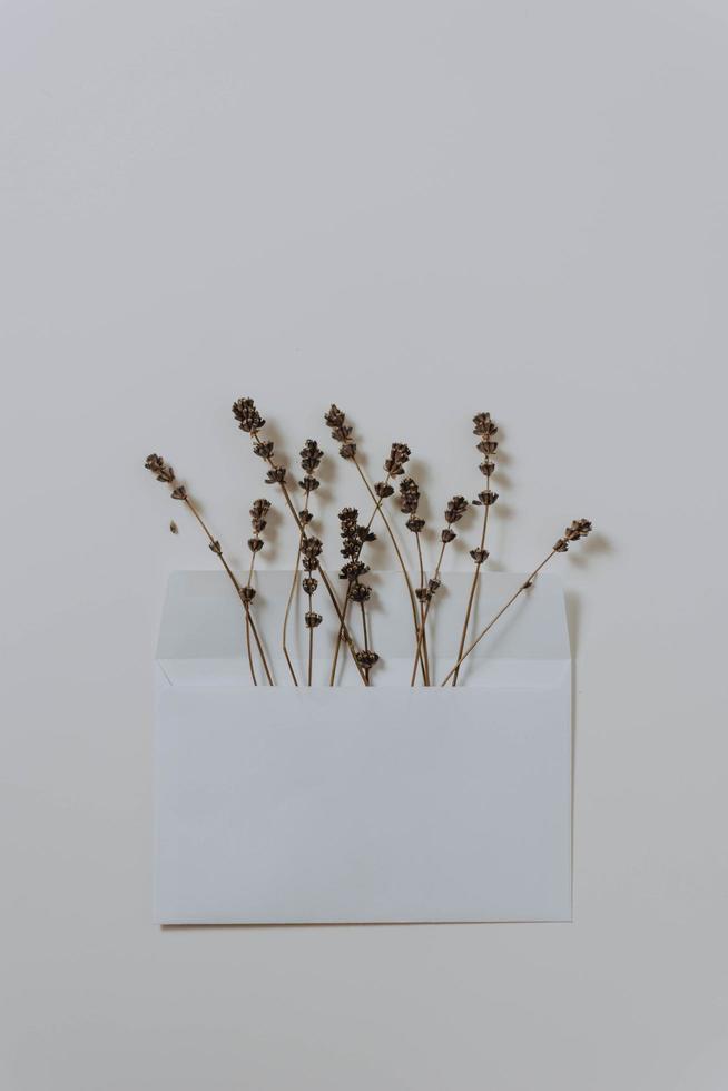 Dried flowers in envelope photo