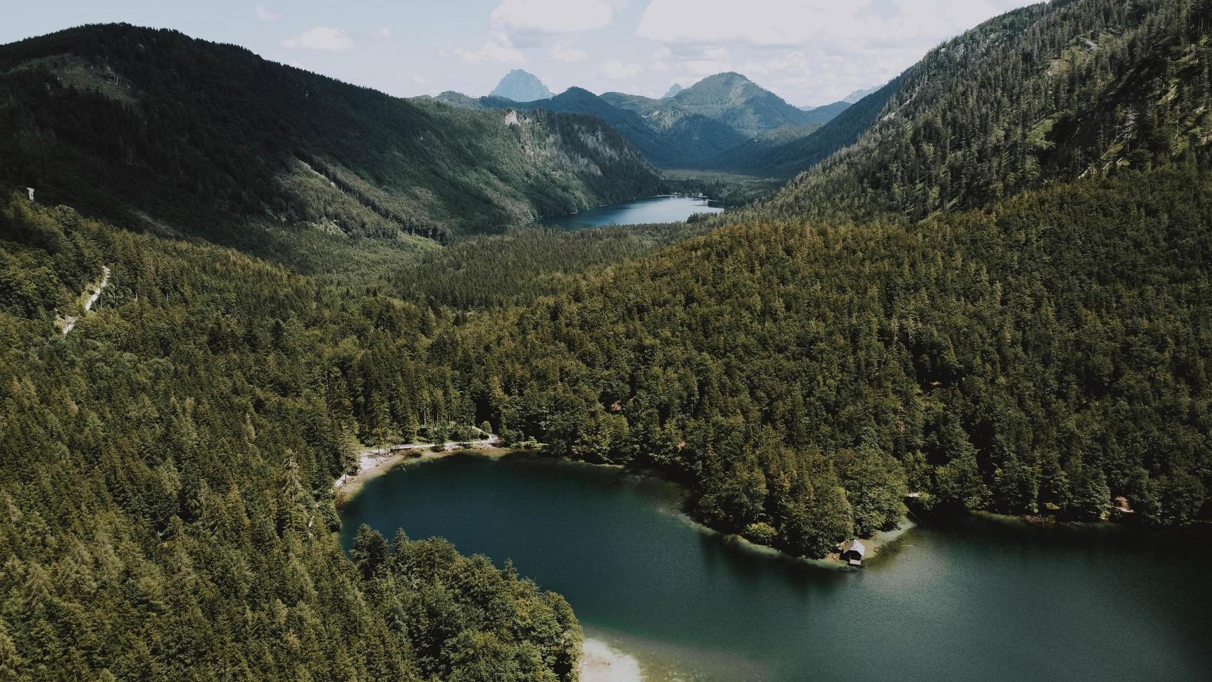 Green trees near lake during daytime photo