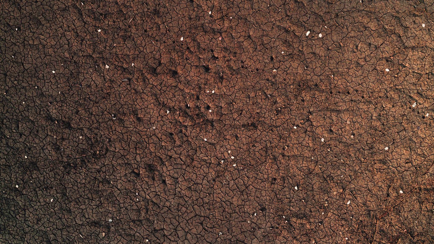 suelo seco del desierto foto