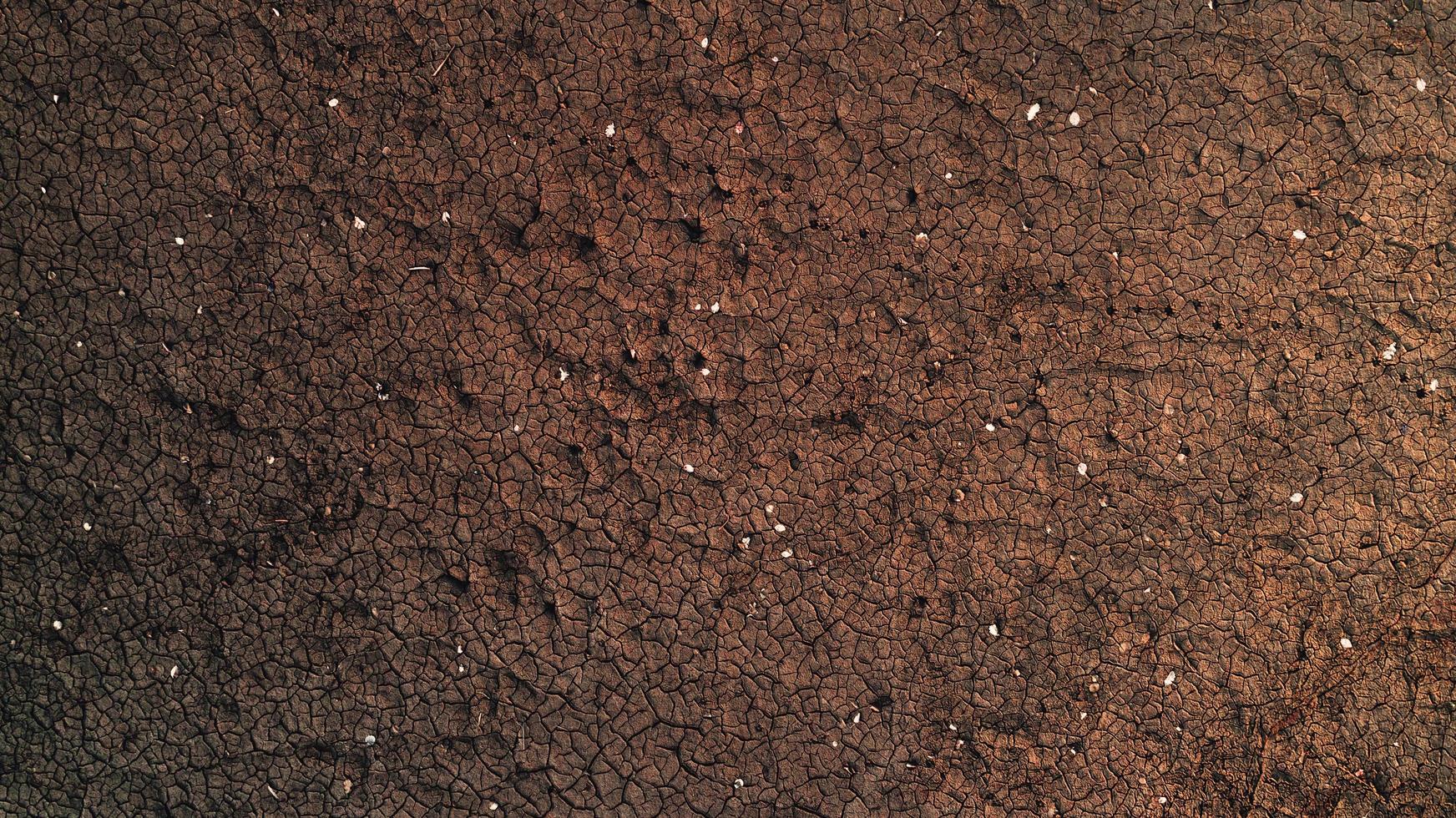 Dry desert floor photo
