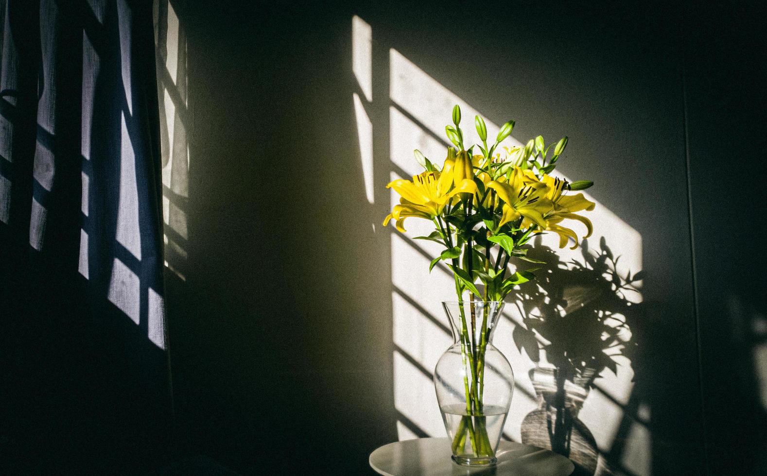 Yellow flowers in glass vase photo