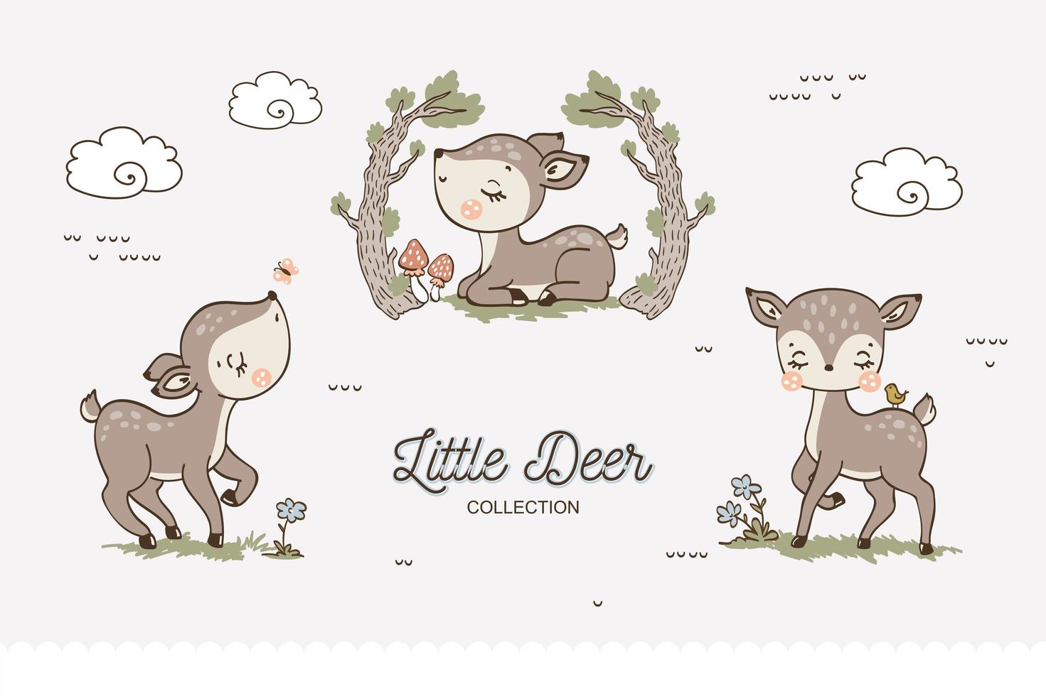 Baby deer collection vector