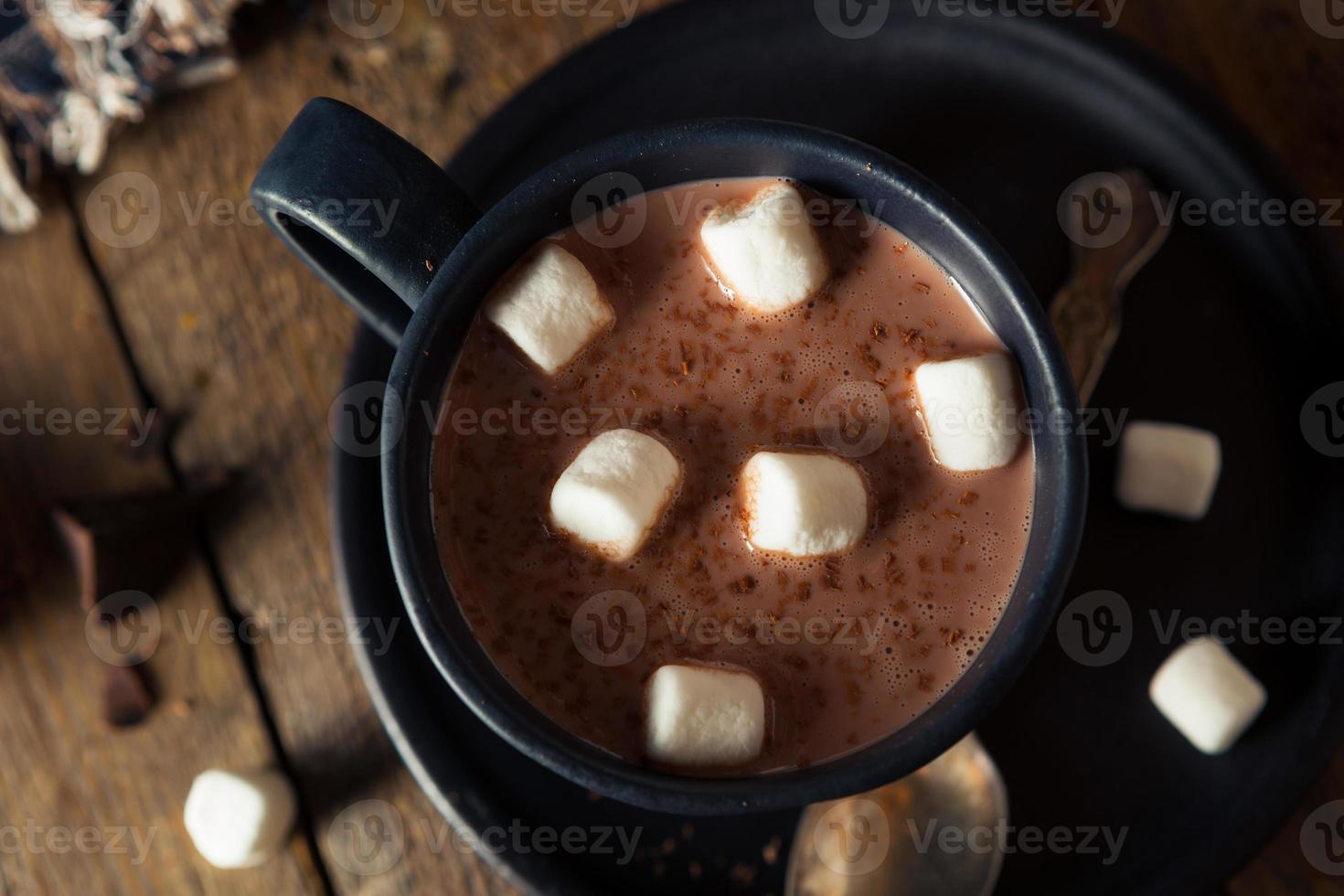 Homemade Warm Hot Chocolate photo