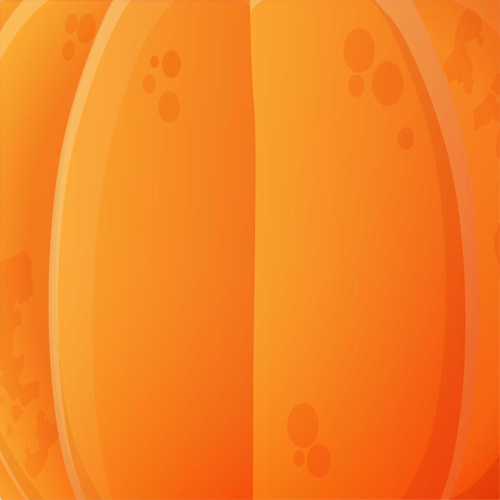 Orange pumpkin close-up background vector