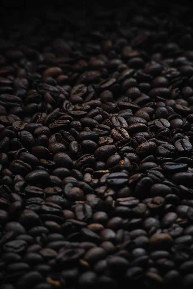 Moody coffee beans photo