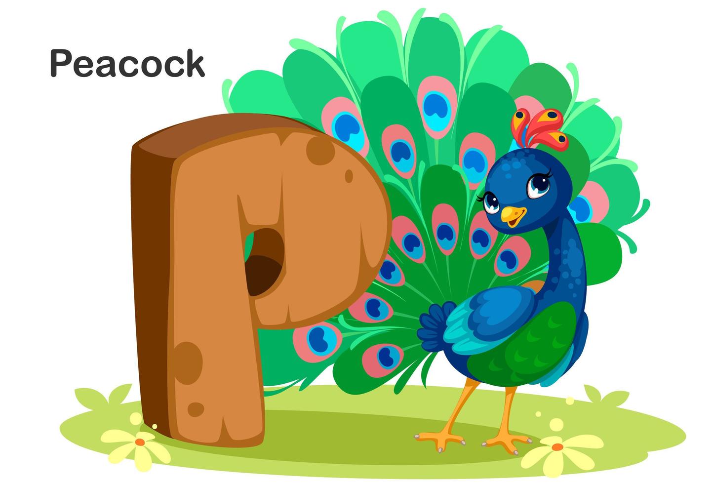 P for Peacock vector