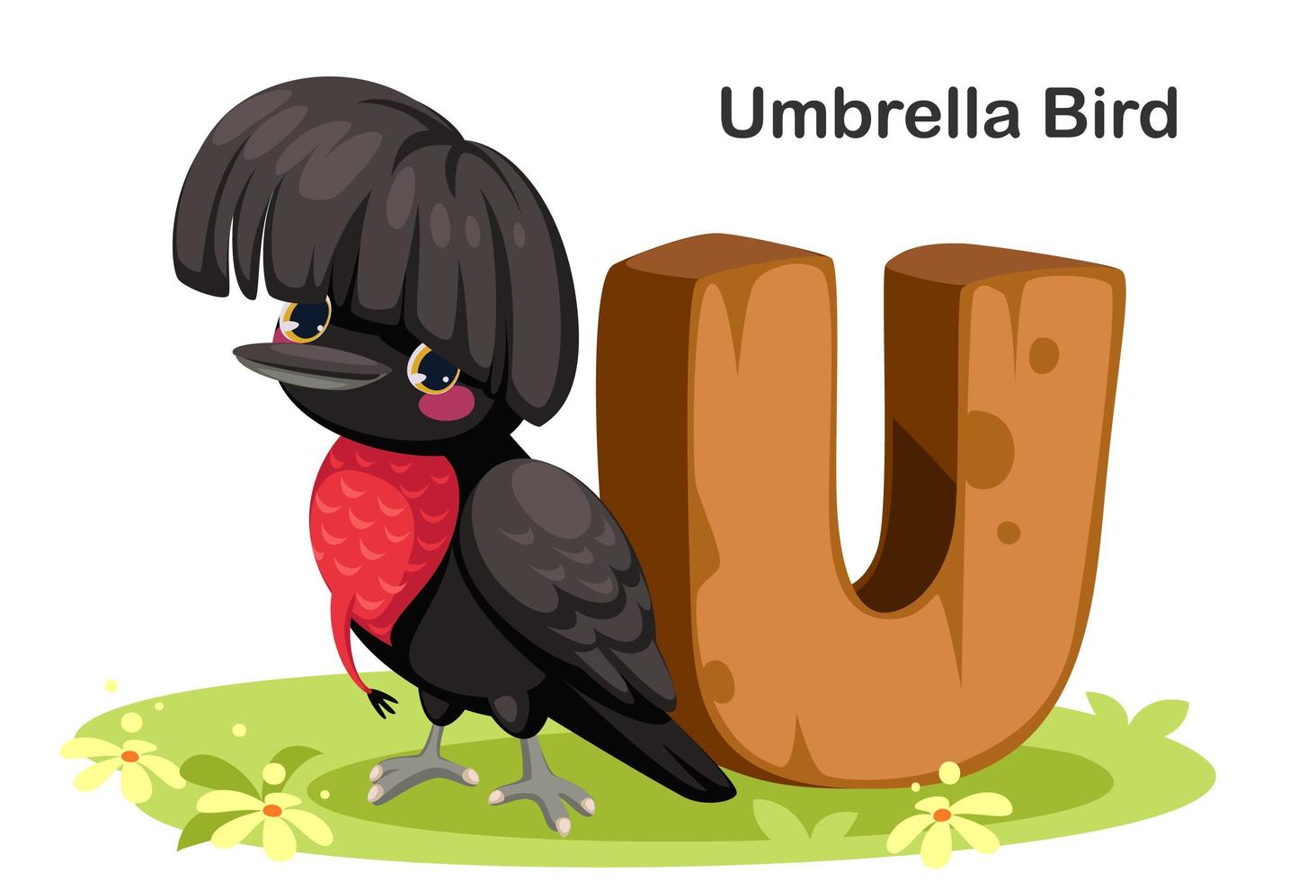 U for Umbrella bird vector