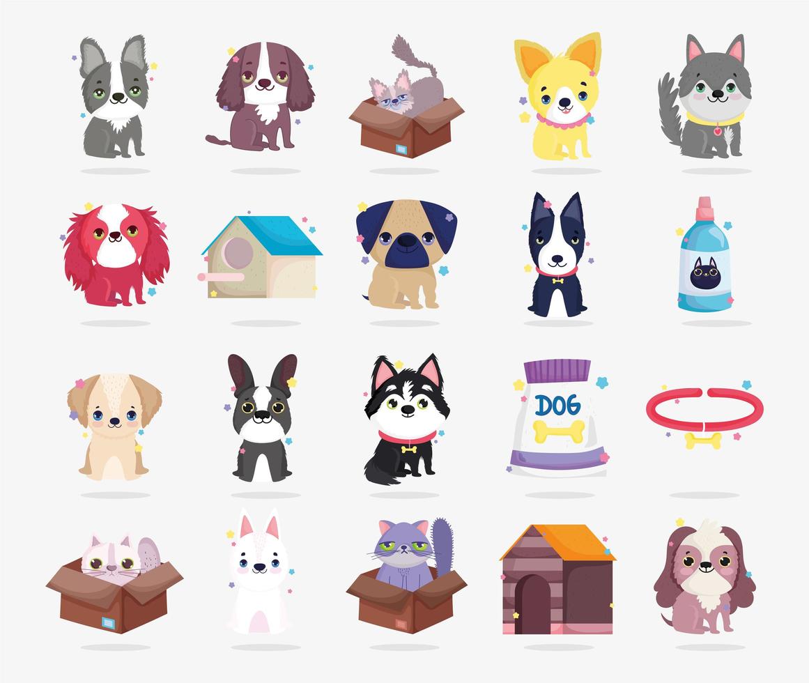 Full pet animals collection vector