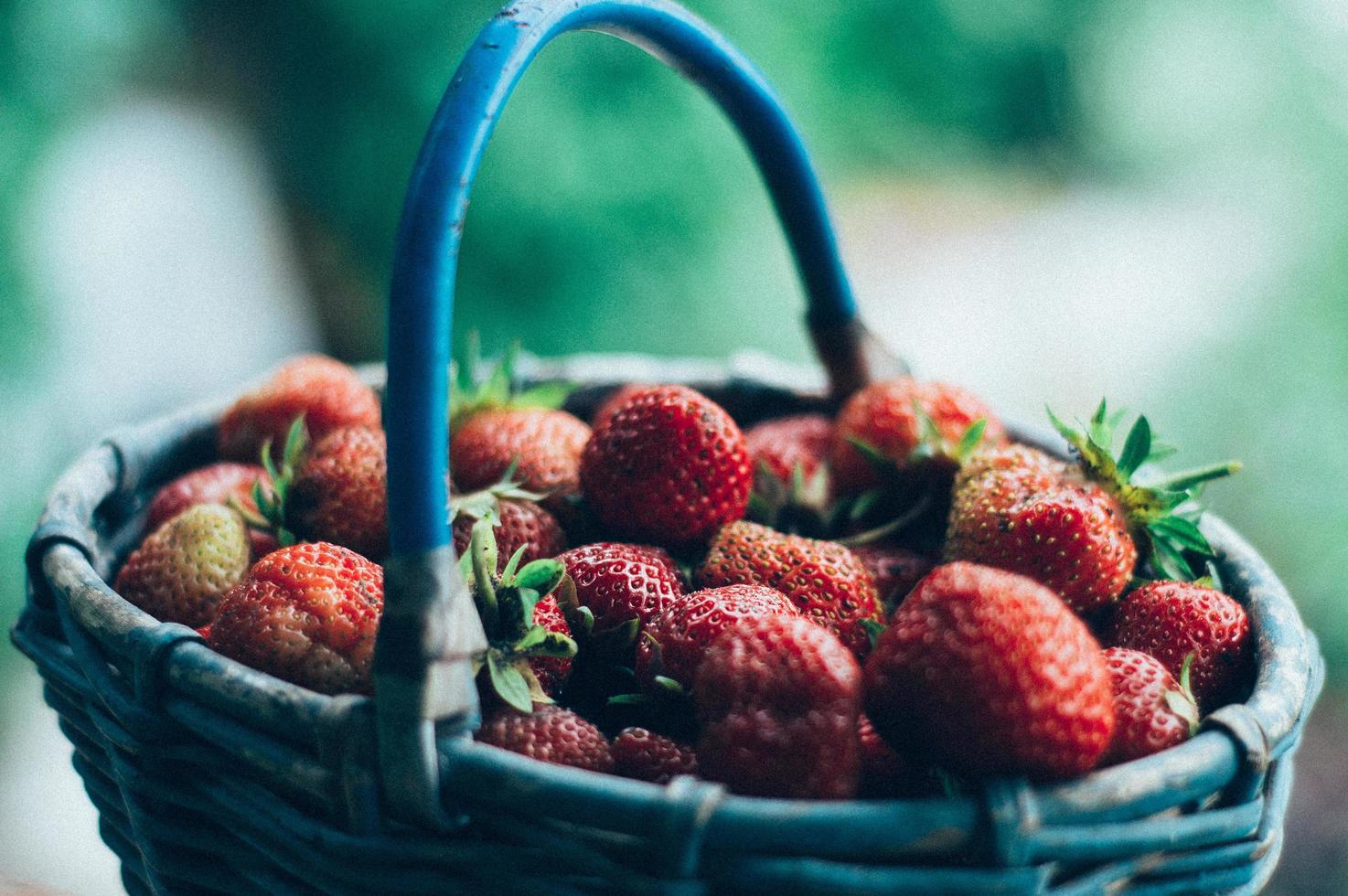 Basket of strawberries photo