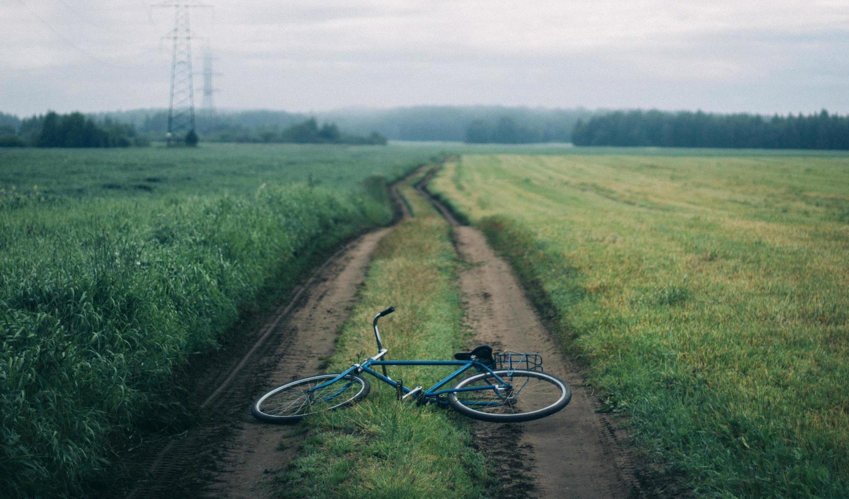 Blue bike on green grass photo