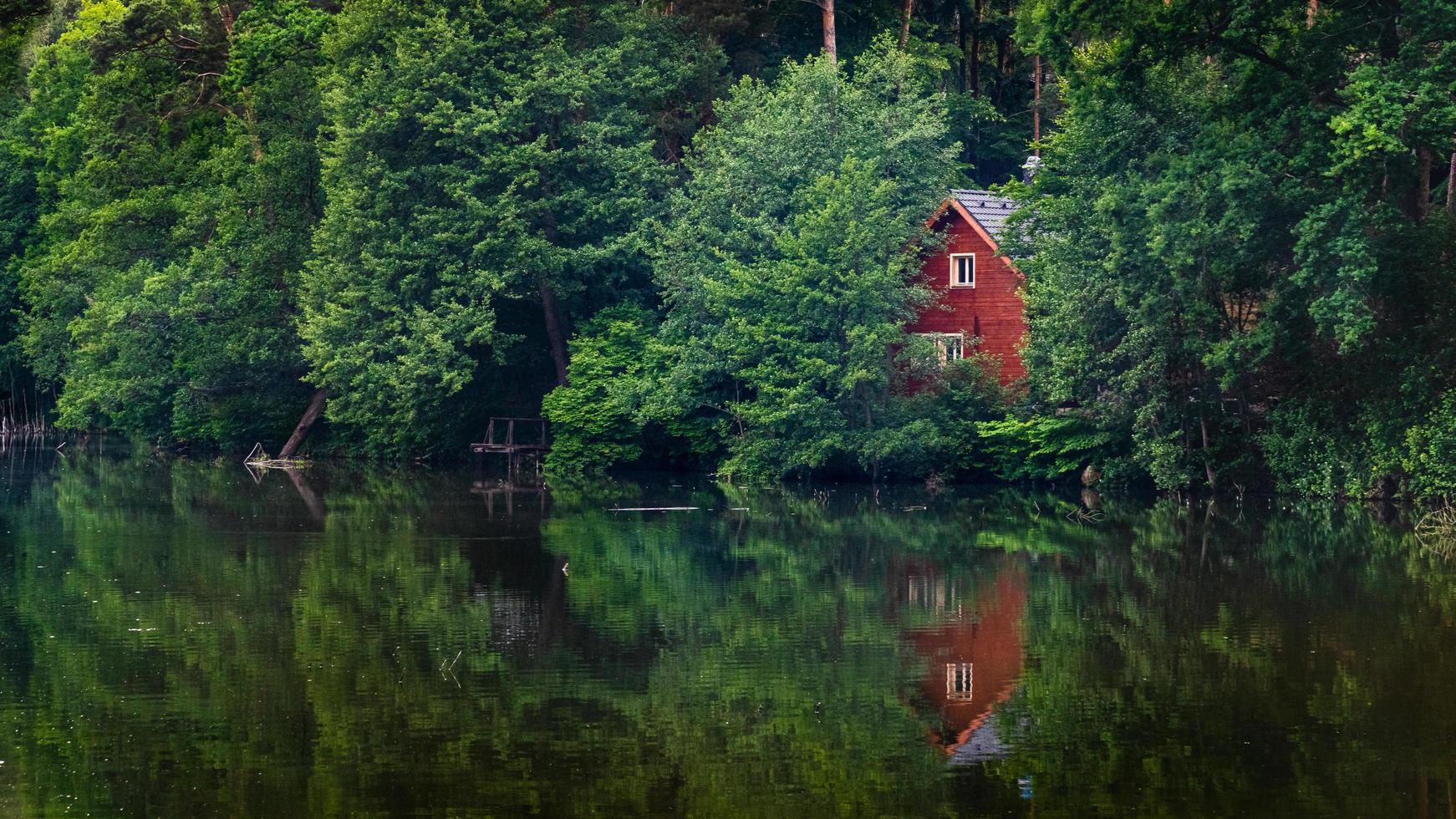 Trees beside lake during daytime photo