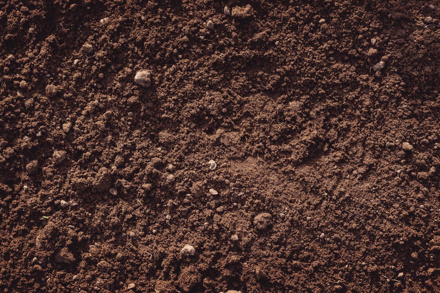 Close up of fertile loam soil 1254579 Stock Photo at Vecteezy