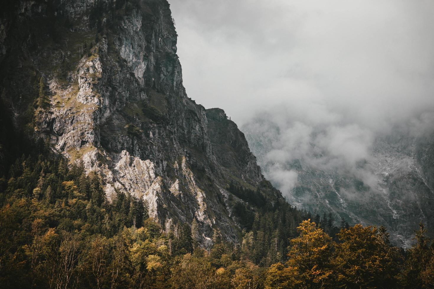 Moody mountains and trees photo