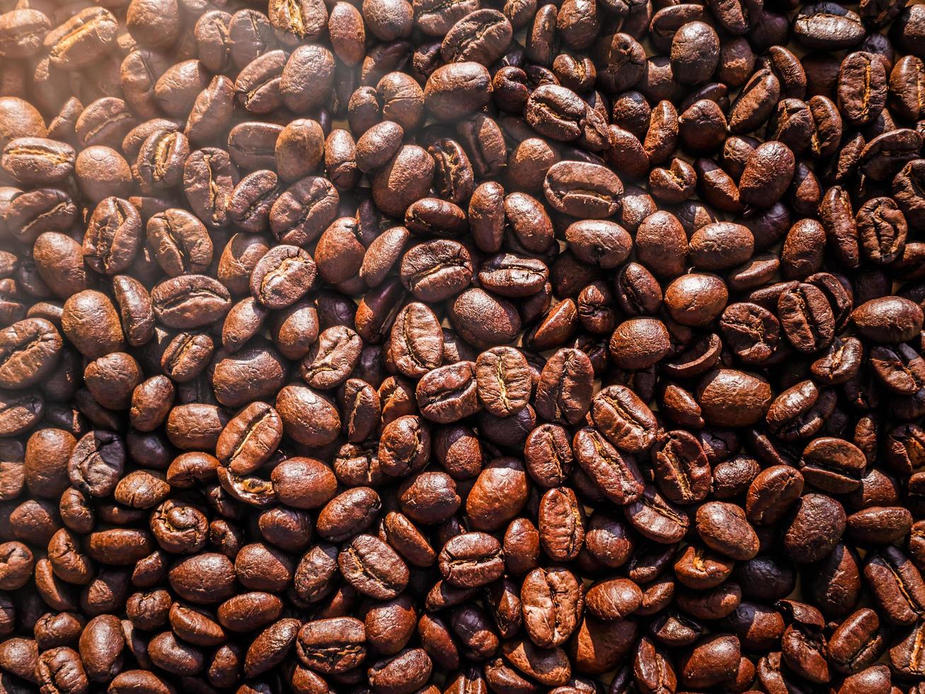 Roasted coffee beans photo