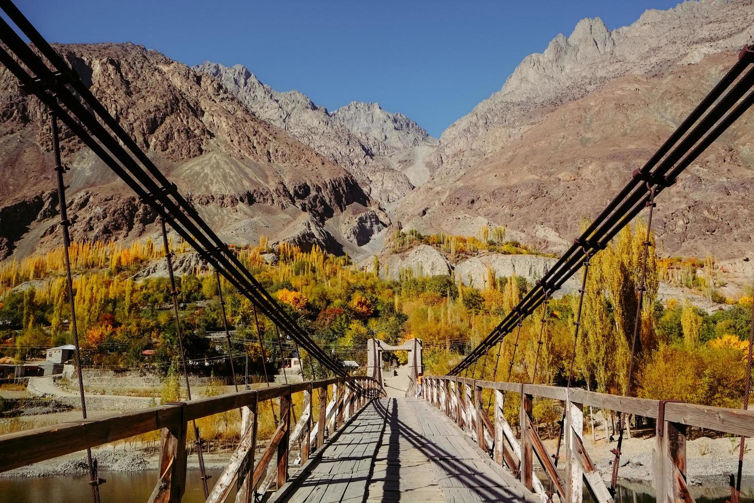 Wooden suspension bridge photo
