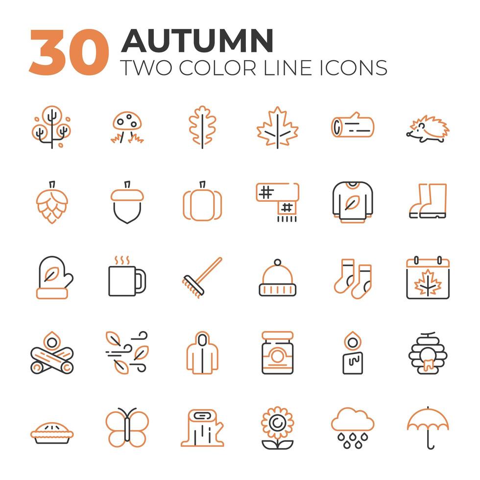 Set of Autumn related icons vector