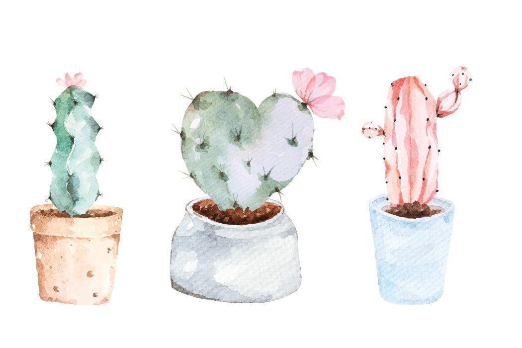 cactus en macetas pintadas con acuarelas vector