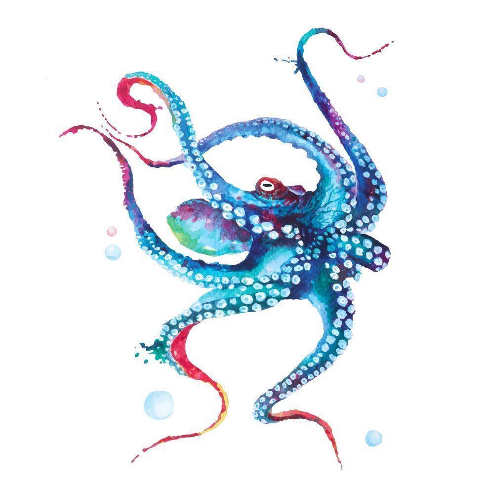 pintura de pulpo en acuarela vector