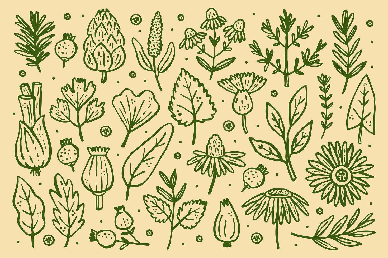 Forest plants set 1259010 Vector Art at Vecteezy