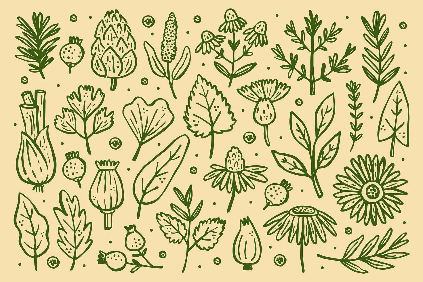 Forest plants set vector