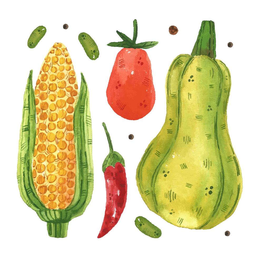 Corn, tomato, chilli pepper, pea, squash vector