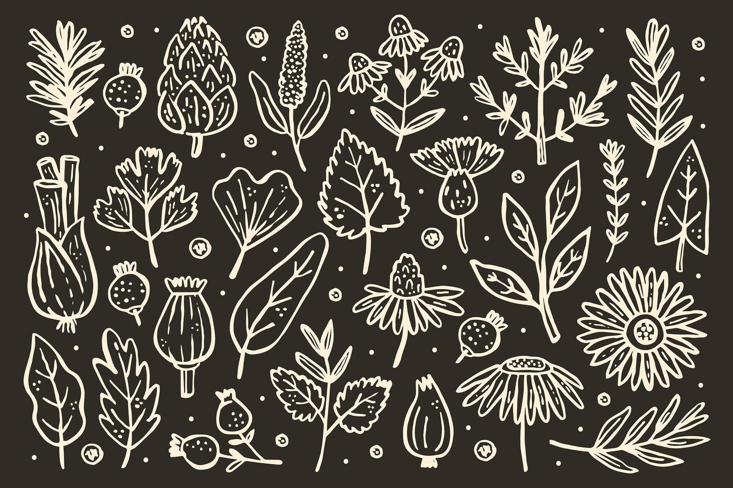 Herbs big set. Forest plants. Flower, branch, leaf, hops, cone. vector
