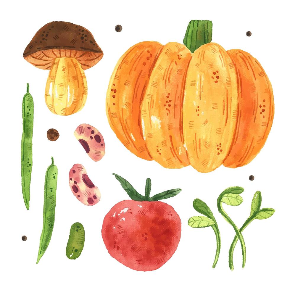 Pumpkin, mushroom, tomato, pea, bean, micro green. vector