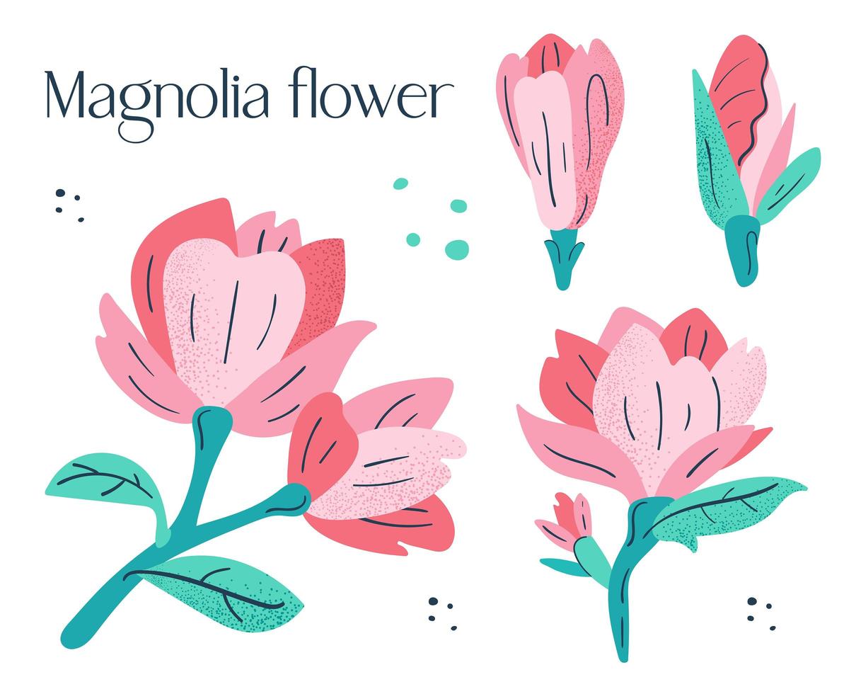 Little pink magnolia flowers set. vector