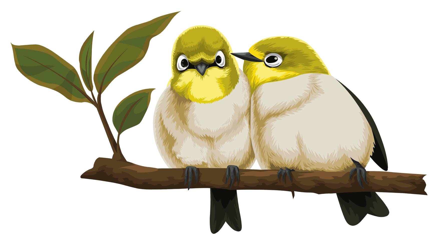 Two Birds Sitting Close on Branch vector