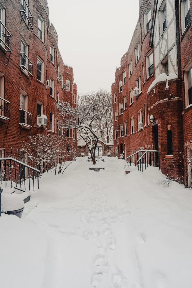 Red brick buildings photo