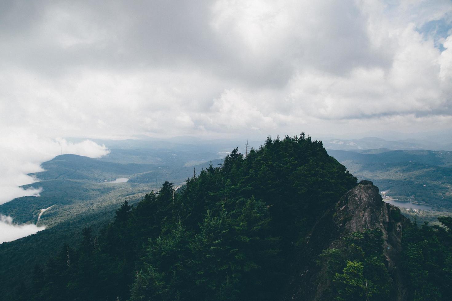 Green trees on mountain  photo