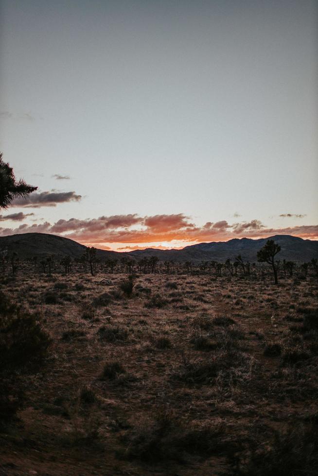 campo y montañas durante la puesta de sol. foto