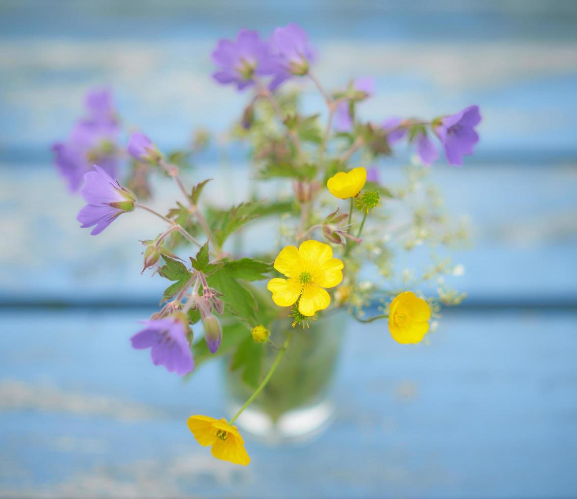 Yellow and purple flowers  photo