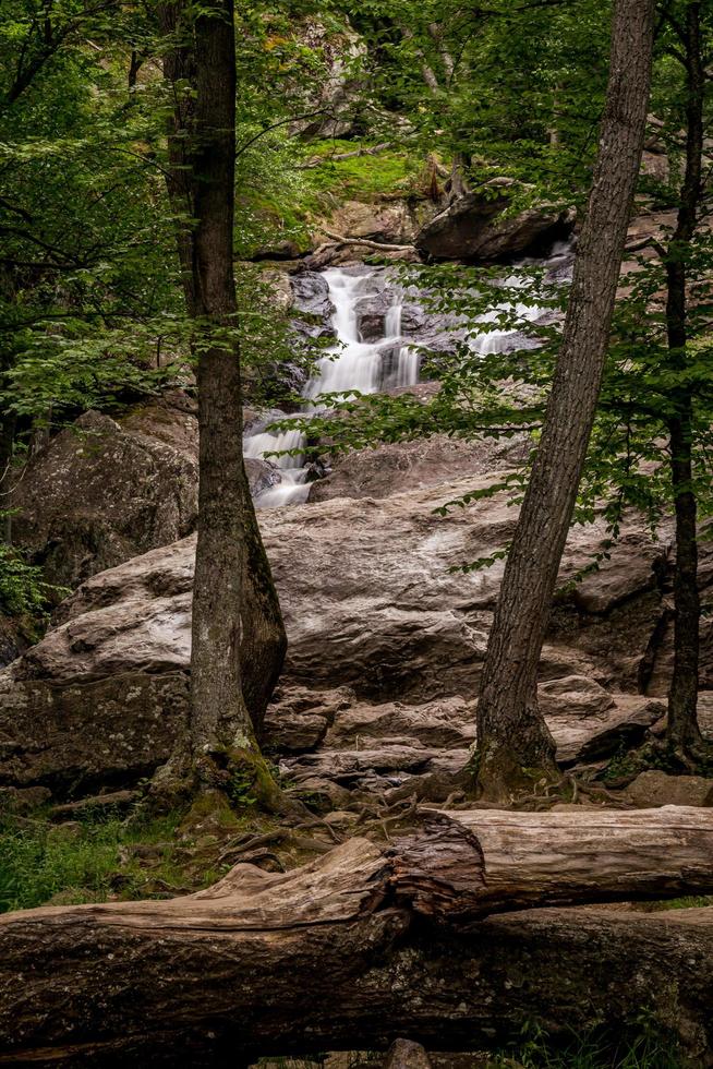 Vertical shot of Cunningham Falls in Maryland photo